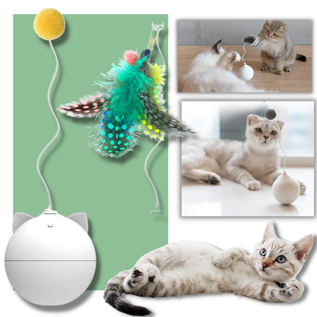 Cat Toy Ball With Auto-Roll Feature - Ozerty