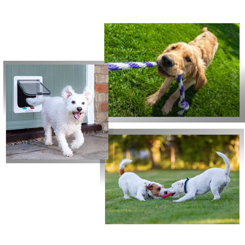 Cat Flap Door - Ozerty