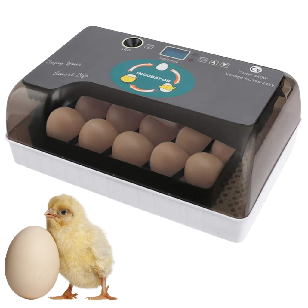Digital Automatic Egg Incubator - Ozerty