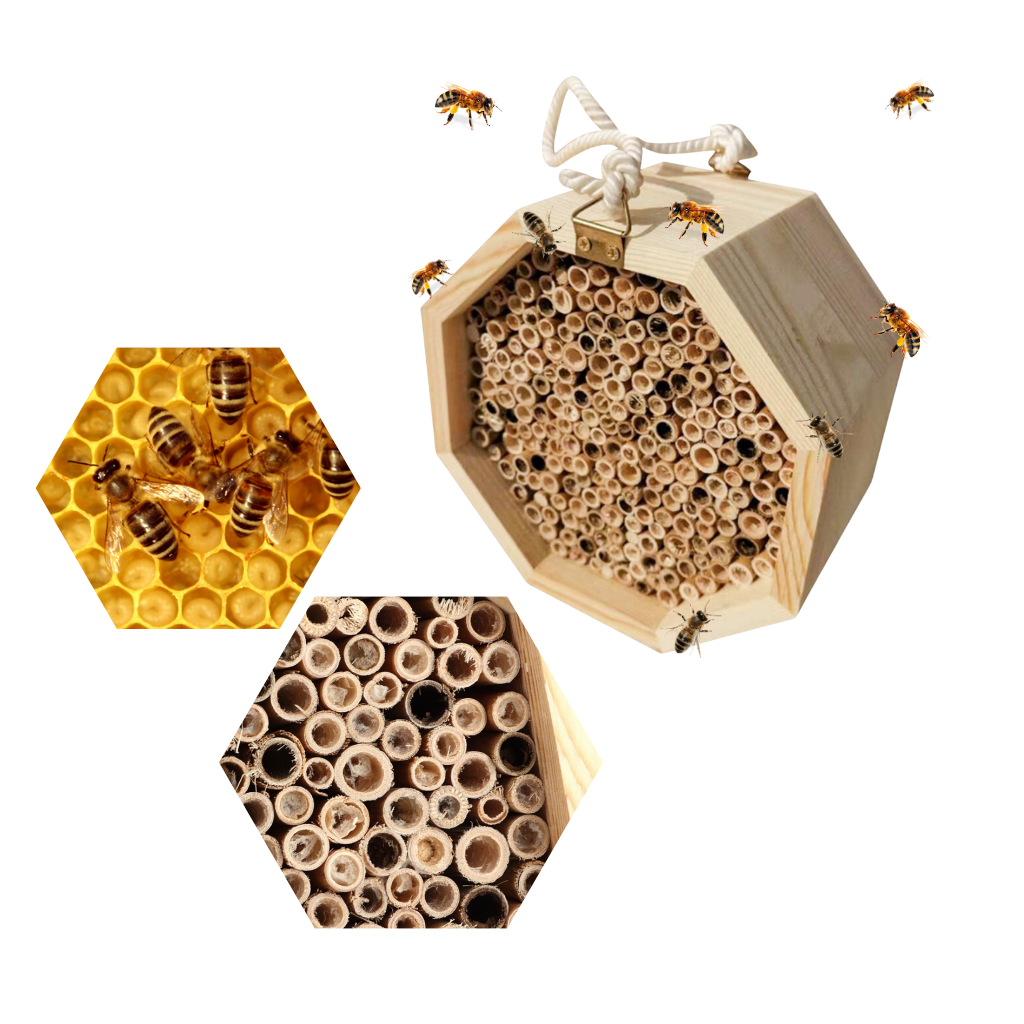 Hexagon Wood Bee House - Ozerty