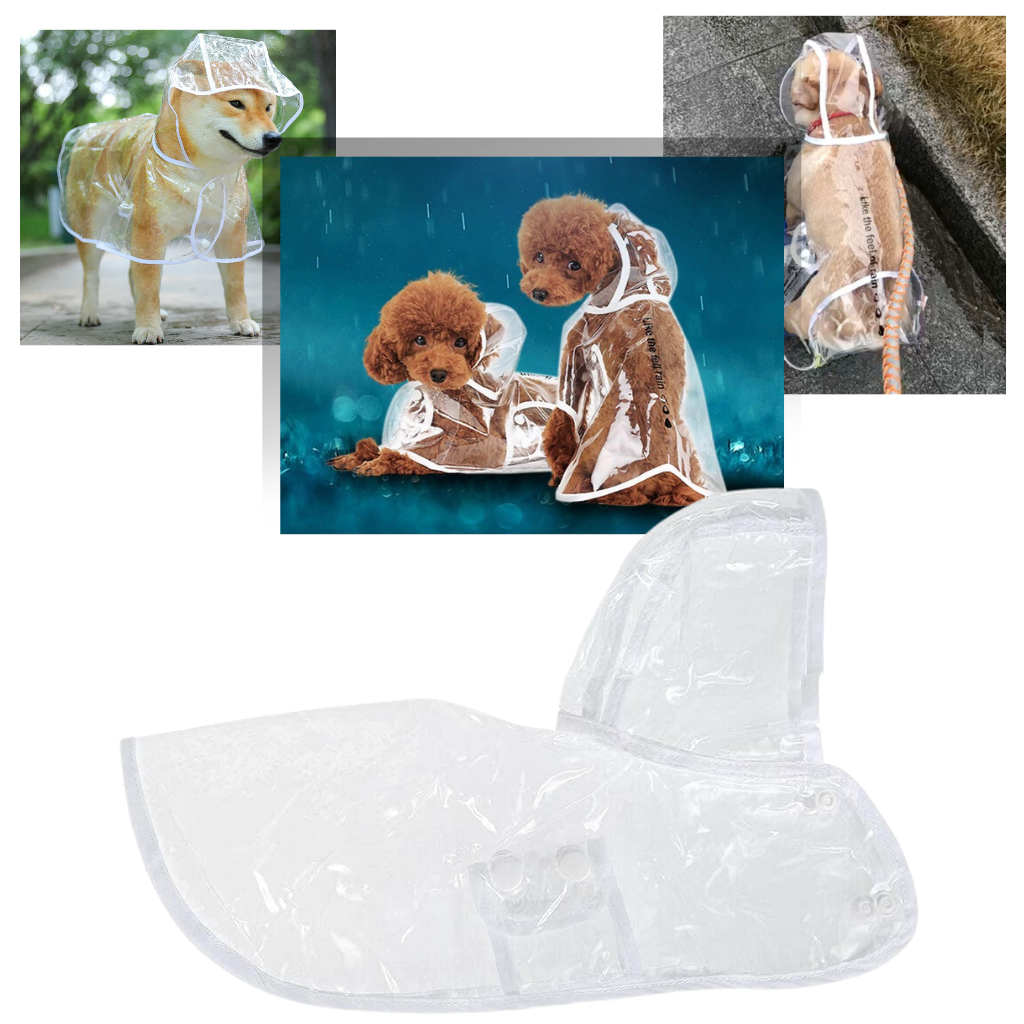 Hooded Raincoat for Dogs - Ozerty