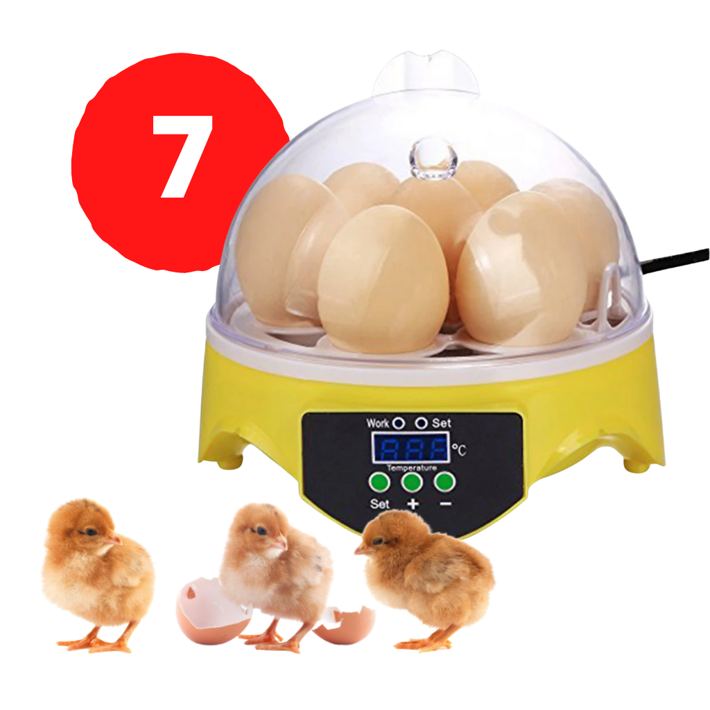 Mini Automatic Egg Incubator - Ozerty
