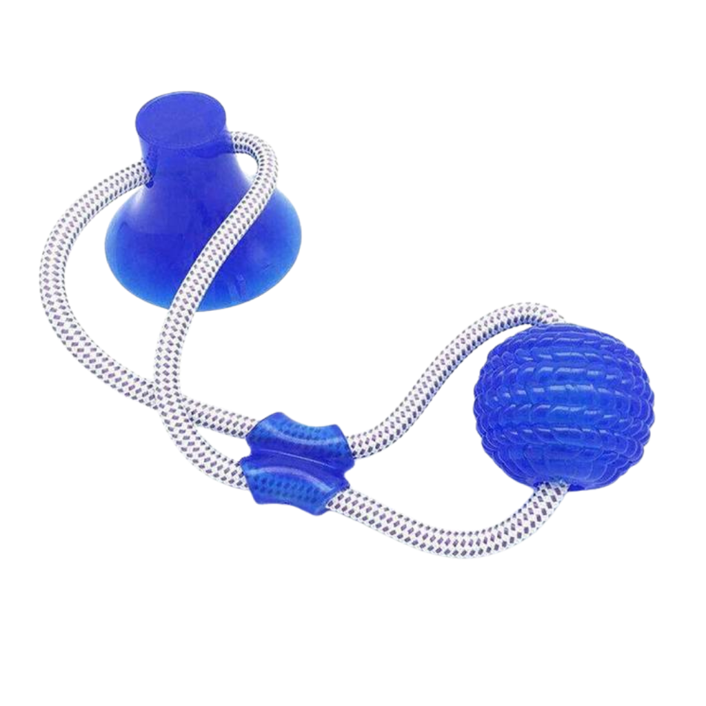 Suction Cup Dog Pull Ball Toy -Blue - Ozerty