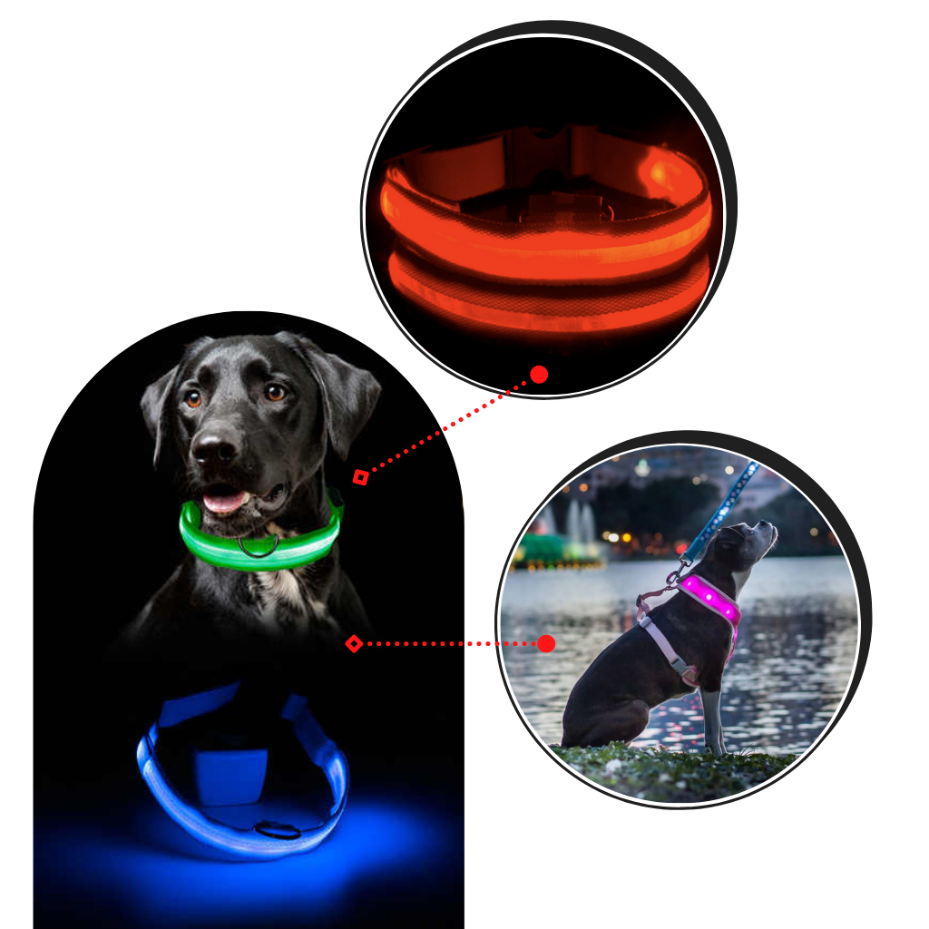 USB Rechargeable LED Light Pet Collar - Ozerty