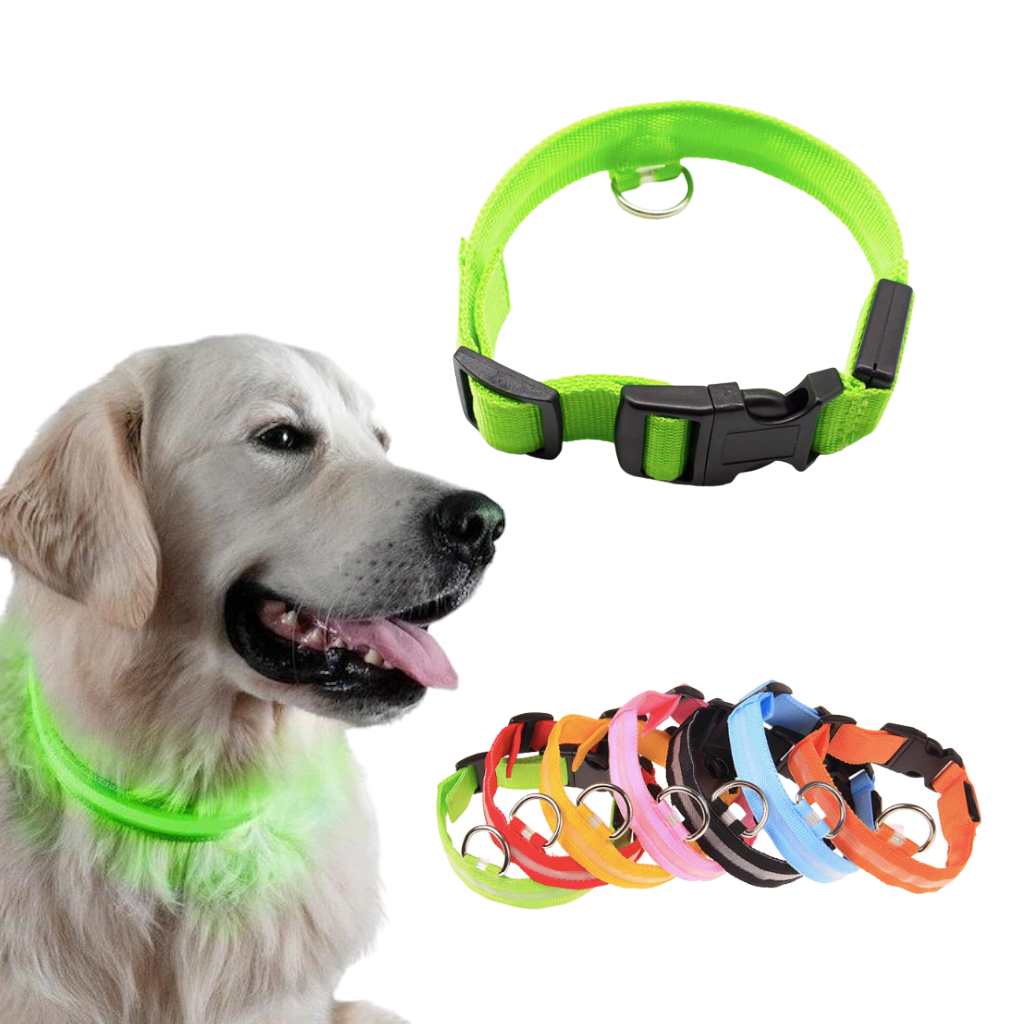 USB Rechargeable LED Light Pet Collar - Ozerty