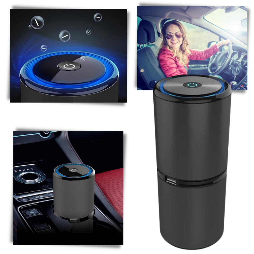 Ionic Air Purifier - Ozerty