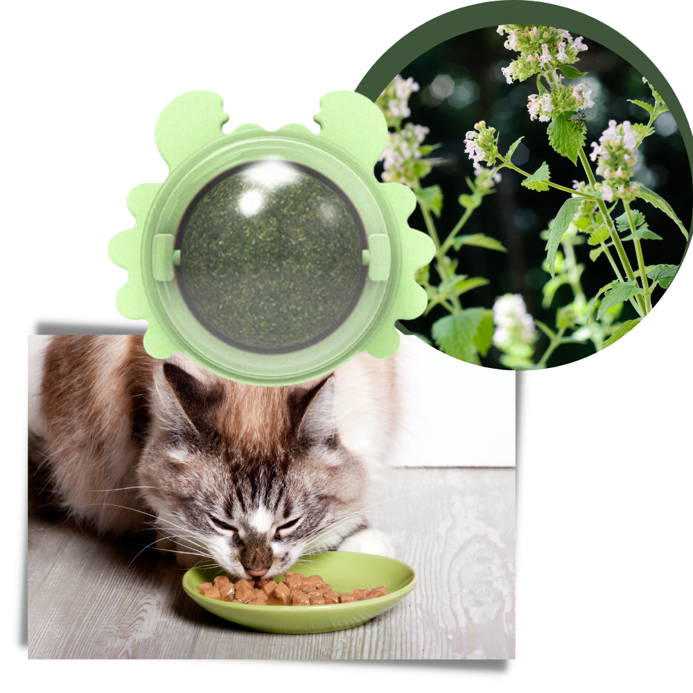 Rotatable Cat Mint Ball Toy - Ozerty