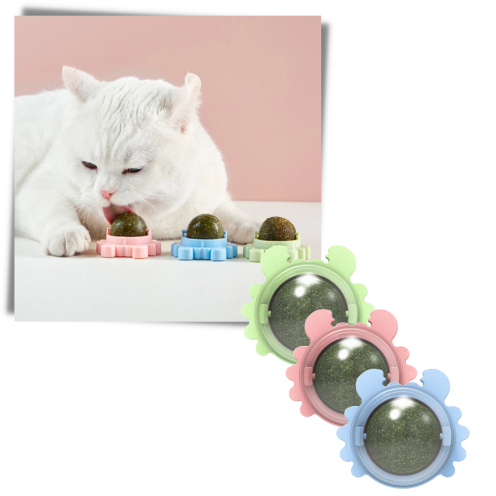 Rotatable Cat Mint Ball Toy - Ozerty