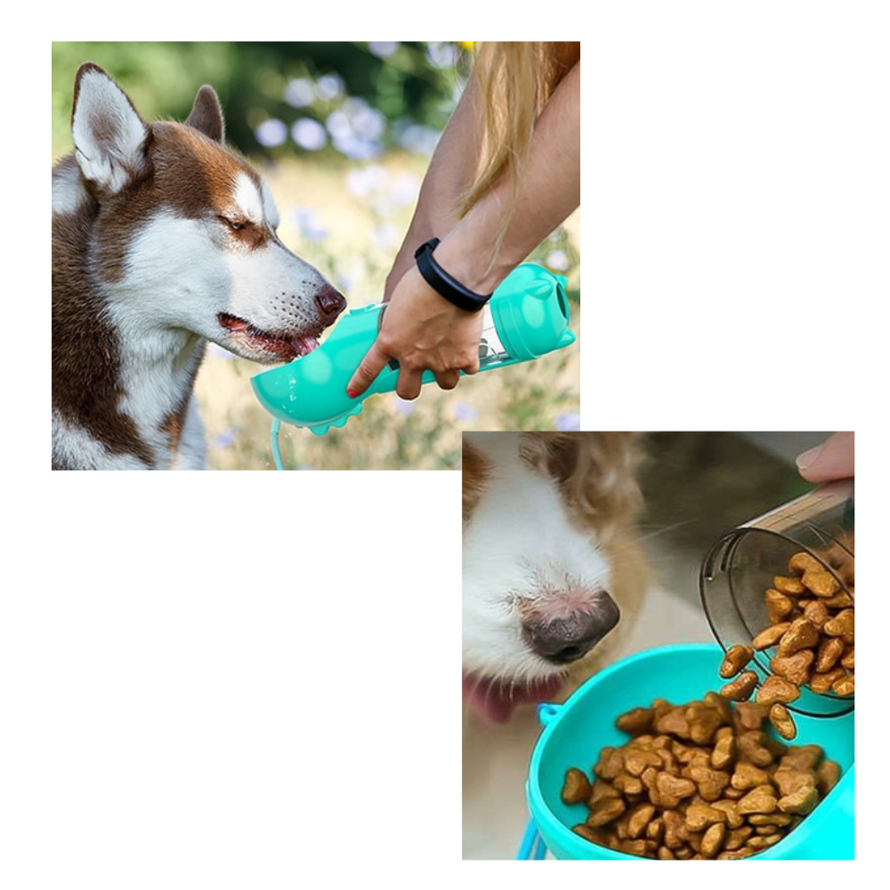 Portable Pet Feeder & Water Bottle - Ozerty