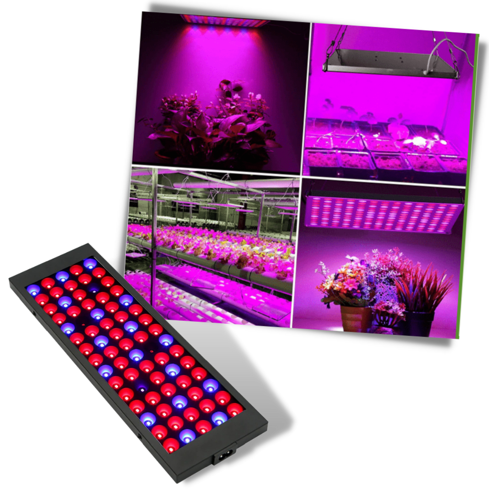 Full Spectrum hanging LED Grow Lamp - Ozerty