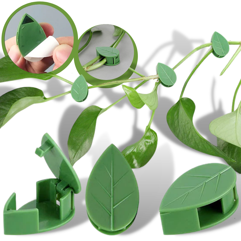 Pack of 20 Leaf-Shaped Adhesive Clips for Climbing Plants - Ozerty