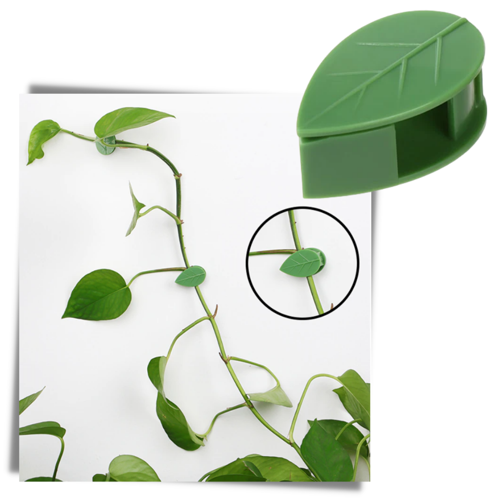 Pack of 20 Leaf-Shaped Adhesive Clips for Climbing Plants - Ozerty