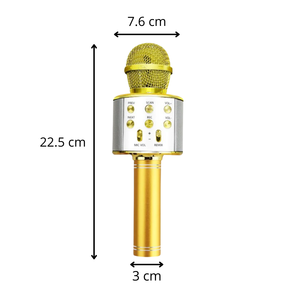 Wireless Bluetooth Karaoke Microphone - Ozerty