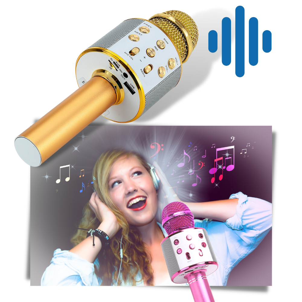 Wireless Bluetooth Karaoke Microphone - Ozerty