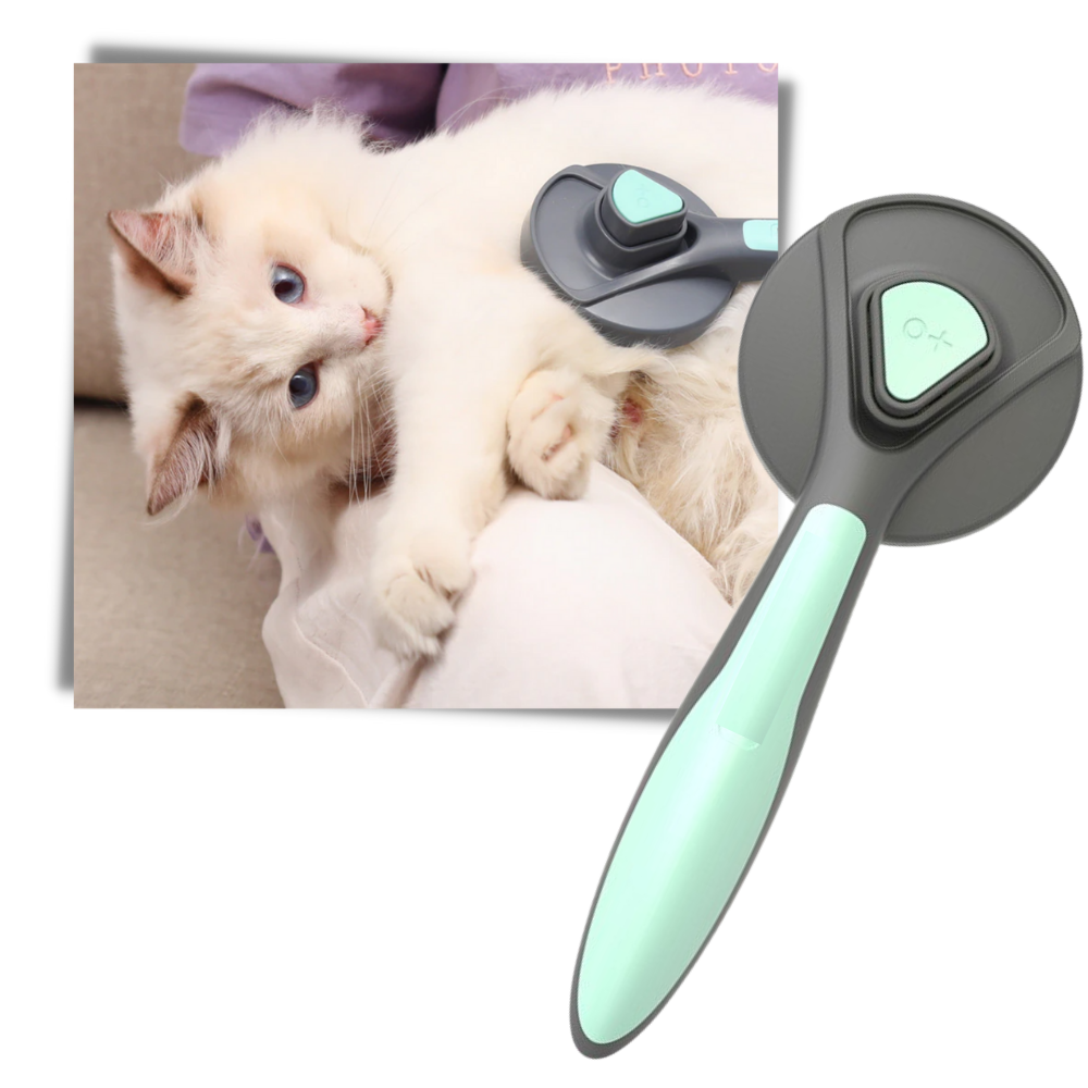 Special Brush For Pets - Ozerty