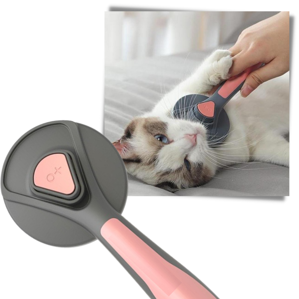 Special Brush For Pets - Ozerty