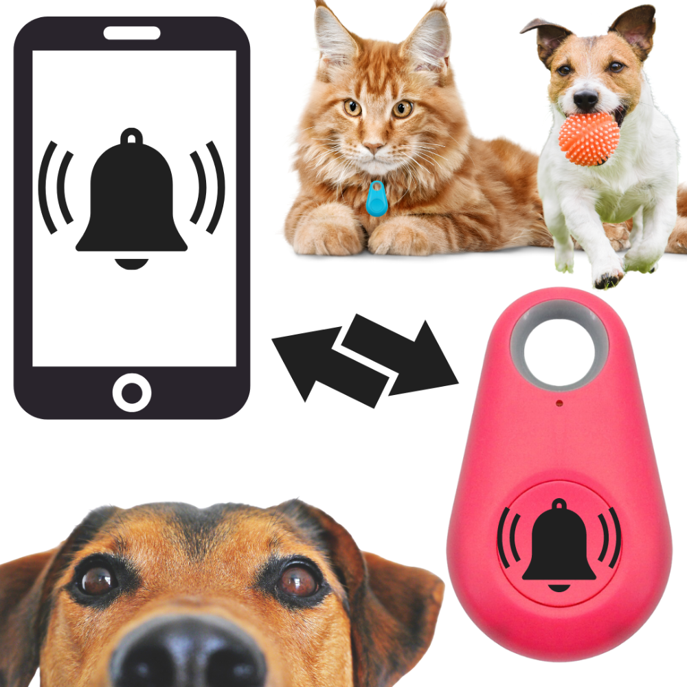 Bluetooth Pet GPS Tracker - Ozerty