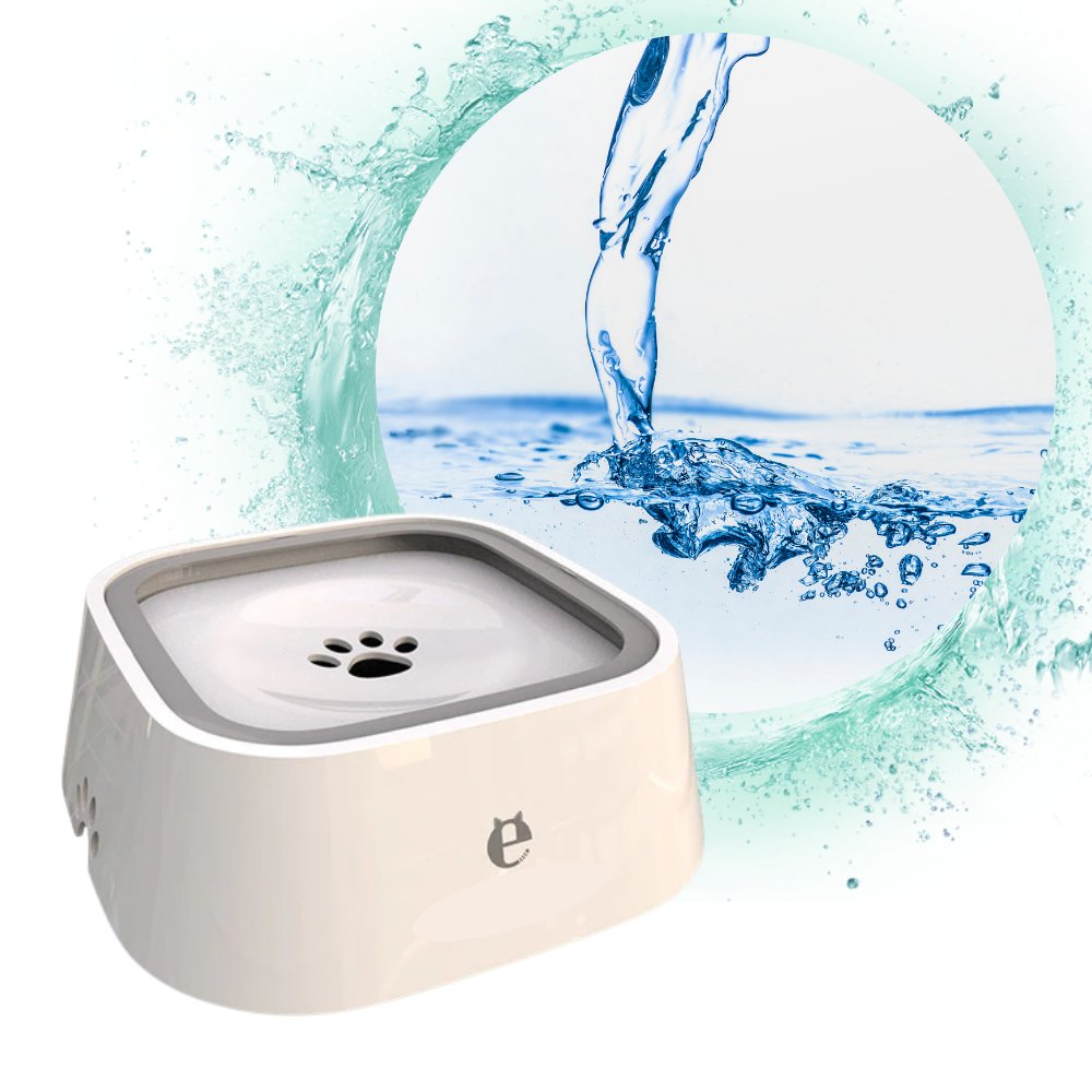 Pet Floating Water Bowl - Ozerty