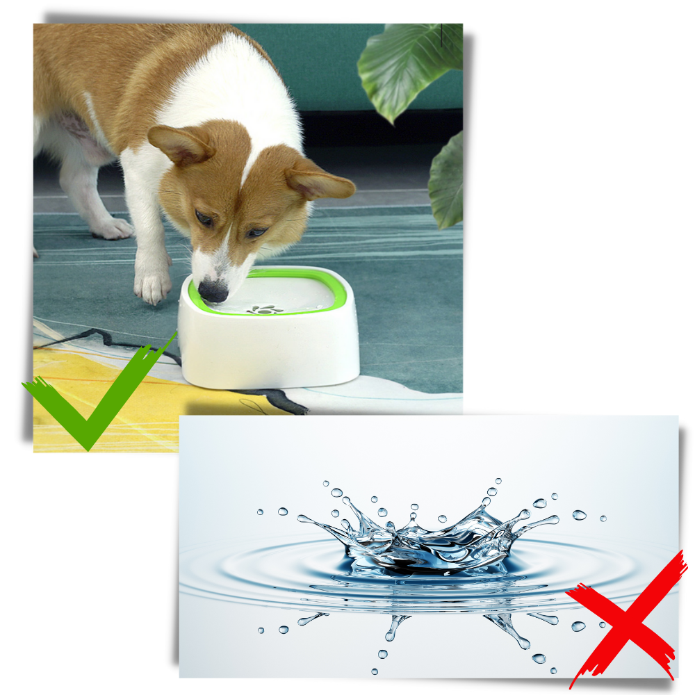 Pet Floating Water Bowl - Ozerty