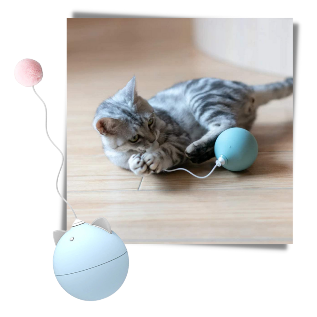 Cat Toy Ball With Auto-Roll Feature - Ozerty