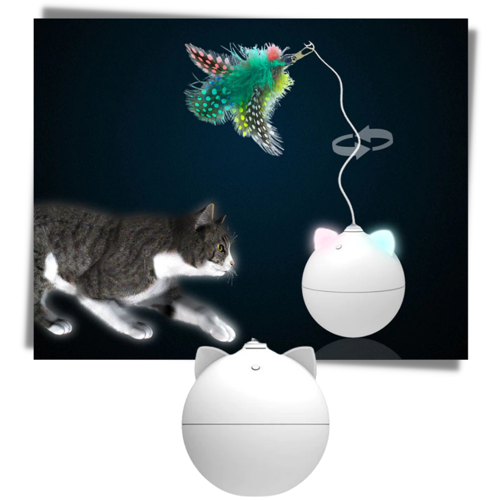 Cat Toy Ball With Auto-Roll Feature - Ozerty