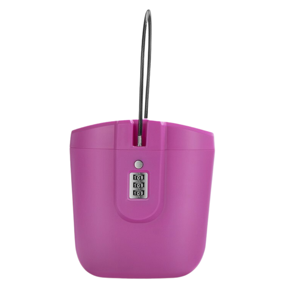 Portable Safe Box with Handle -Pink - Ozerty