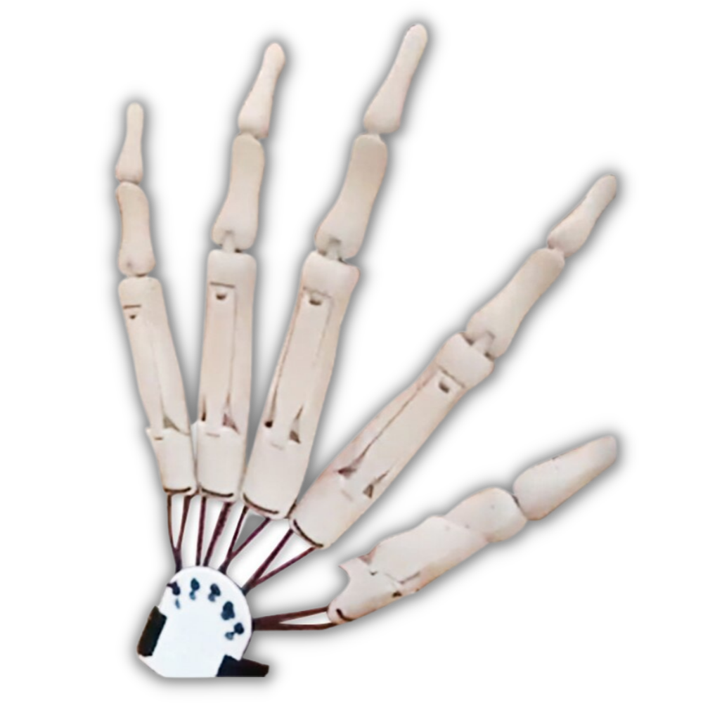 Fake Skeleton Hands Glove -Left White - Ozerty