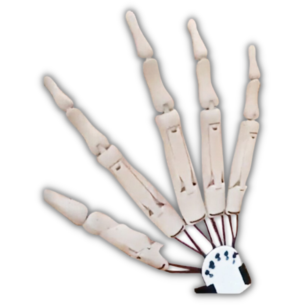 Fake Skeleton Hands Glove -Right White - Ozerty