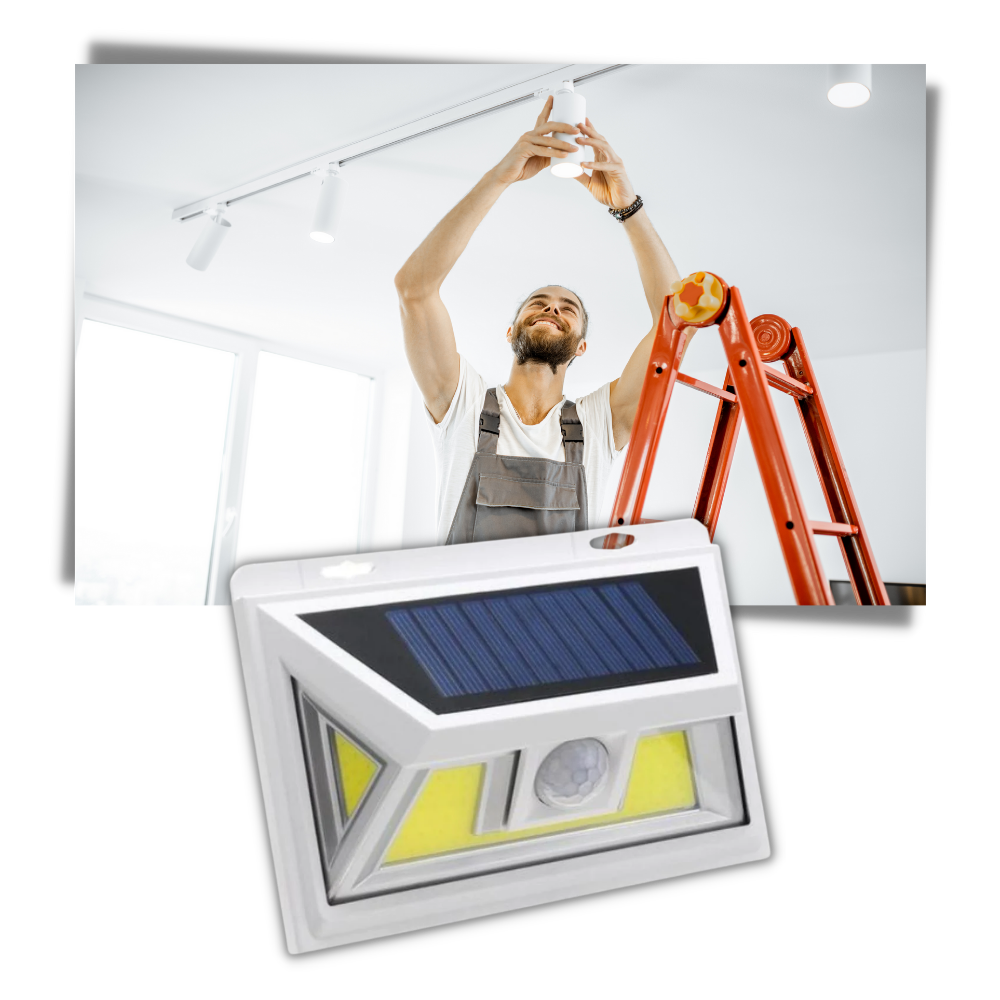 Solar-Powered LED with Motion Detector - Ozerty