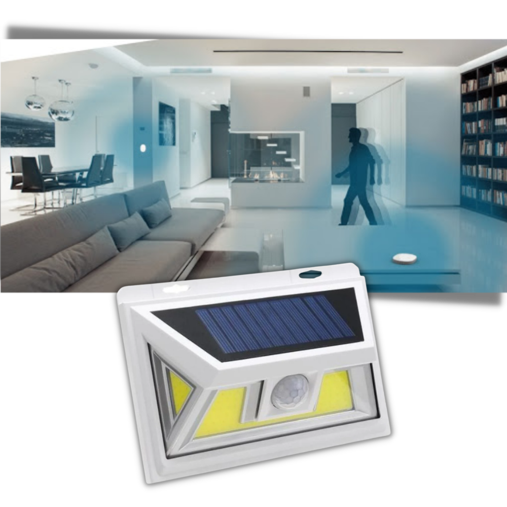 Solar-Powered LED with Motion Detector - Ozerty