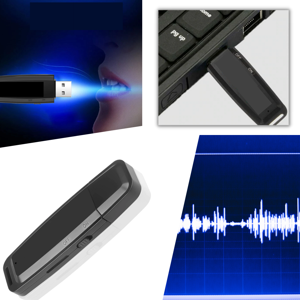 USB Voice Recorder - Ozerty