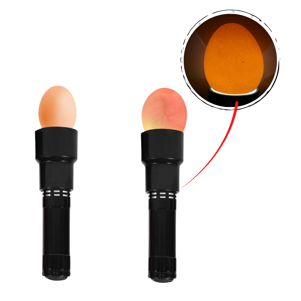 Egg Candling Lamp - Ozerty