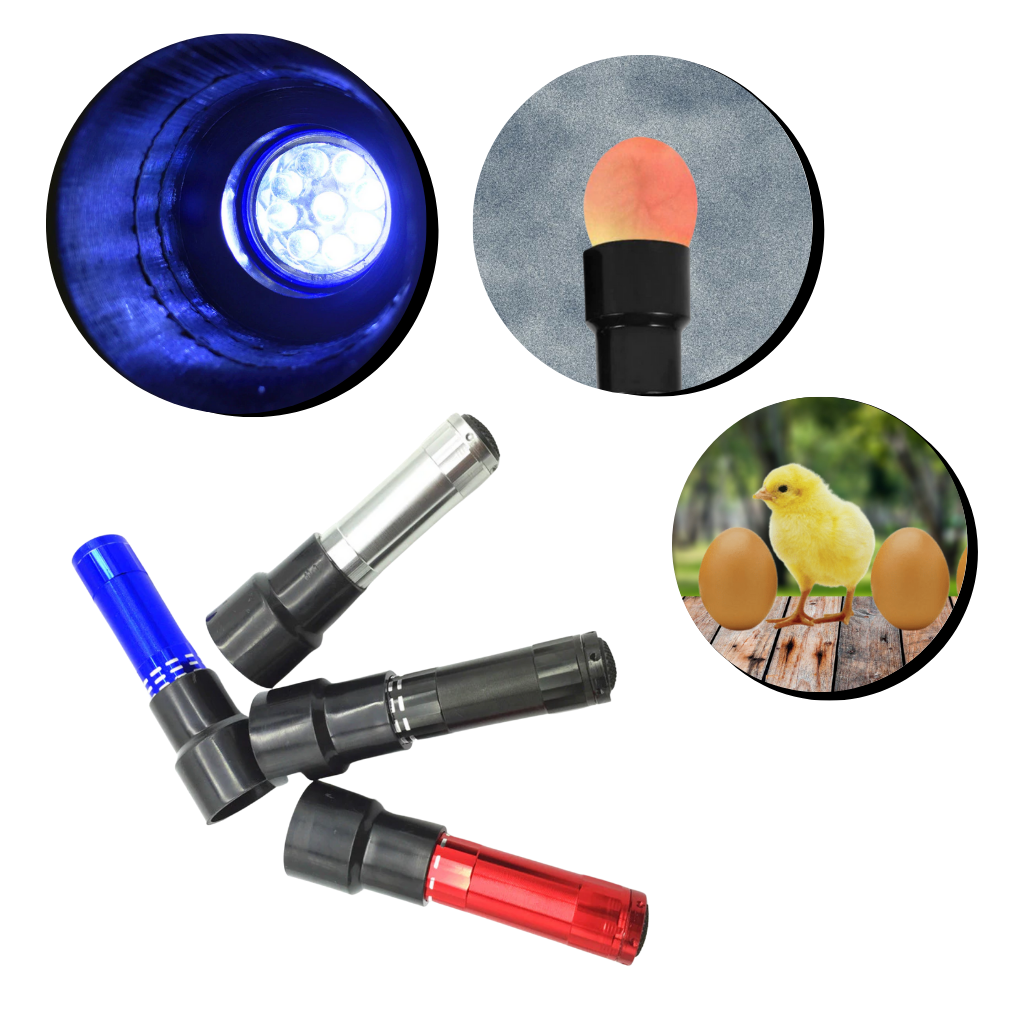 Egg Candling Lamp - Ozerty