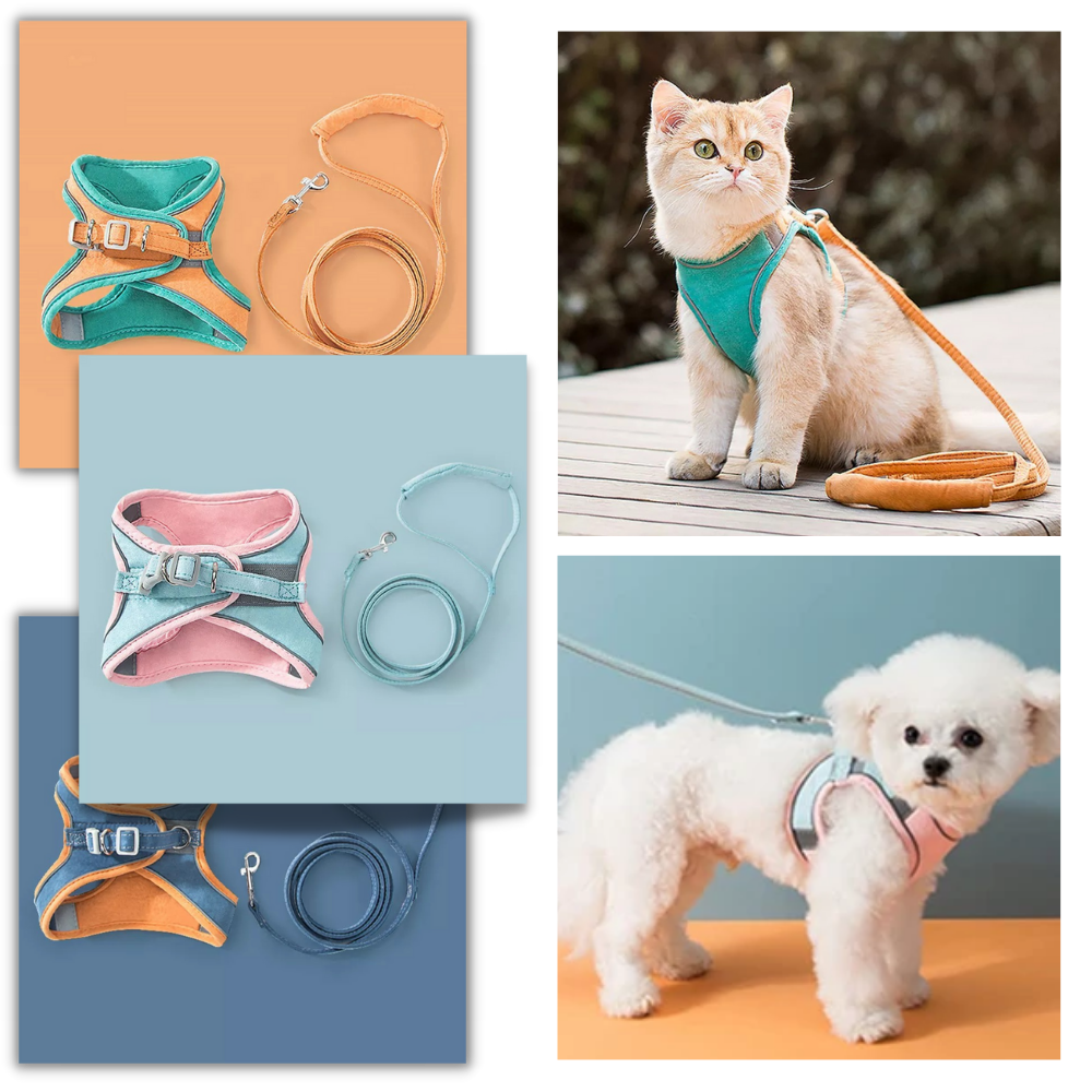 Pet Harness and Leash Set - Ozerty