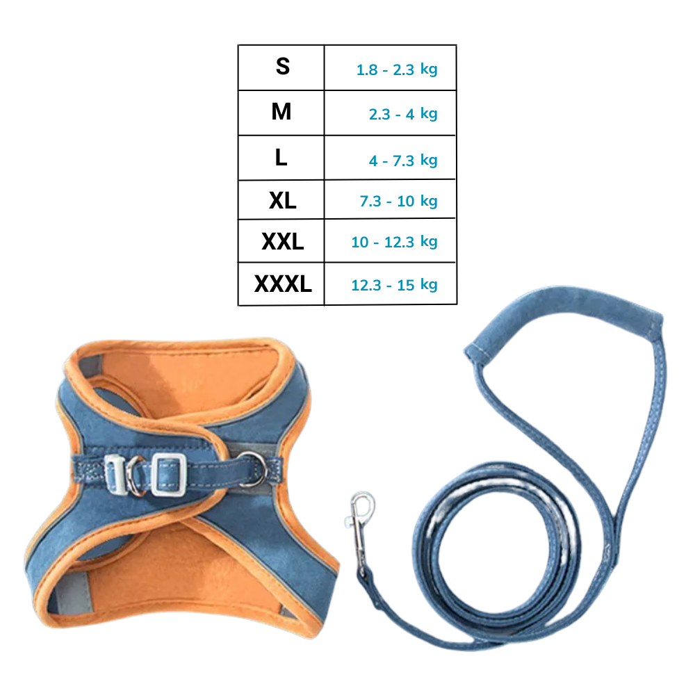 Pet Harness and Leash Set - Ozerty