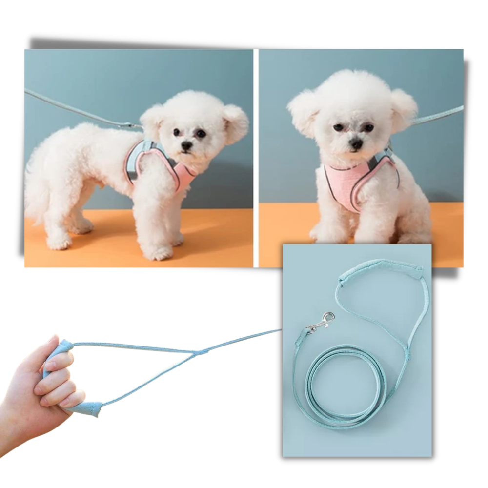 Pet Harness and Leash Set - Ozerty