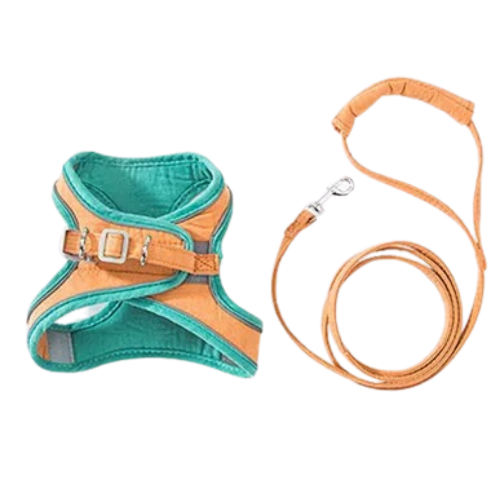 Pet Harness and Leash Set -Green-Orange - Ozerty