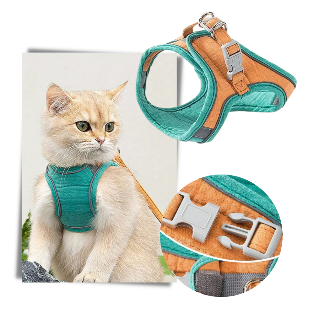 Pet Harness and Leash Set - Ozerty