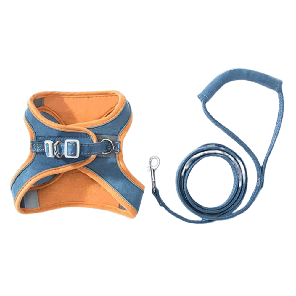 Pet Harness and Leash Set -Orange-Blue - Ozerty