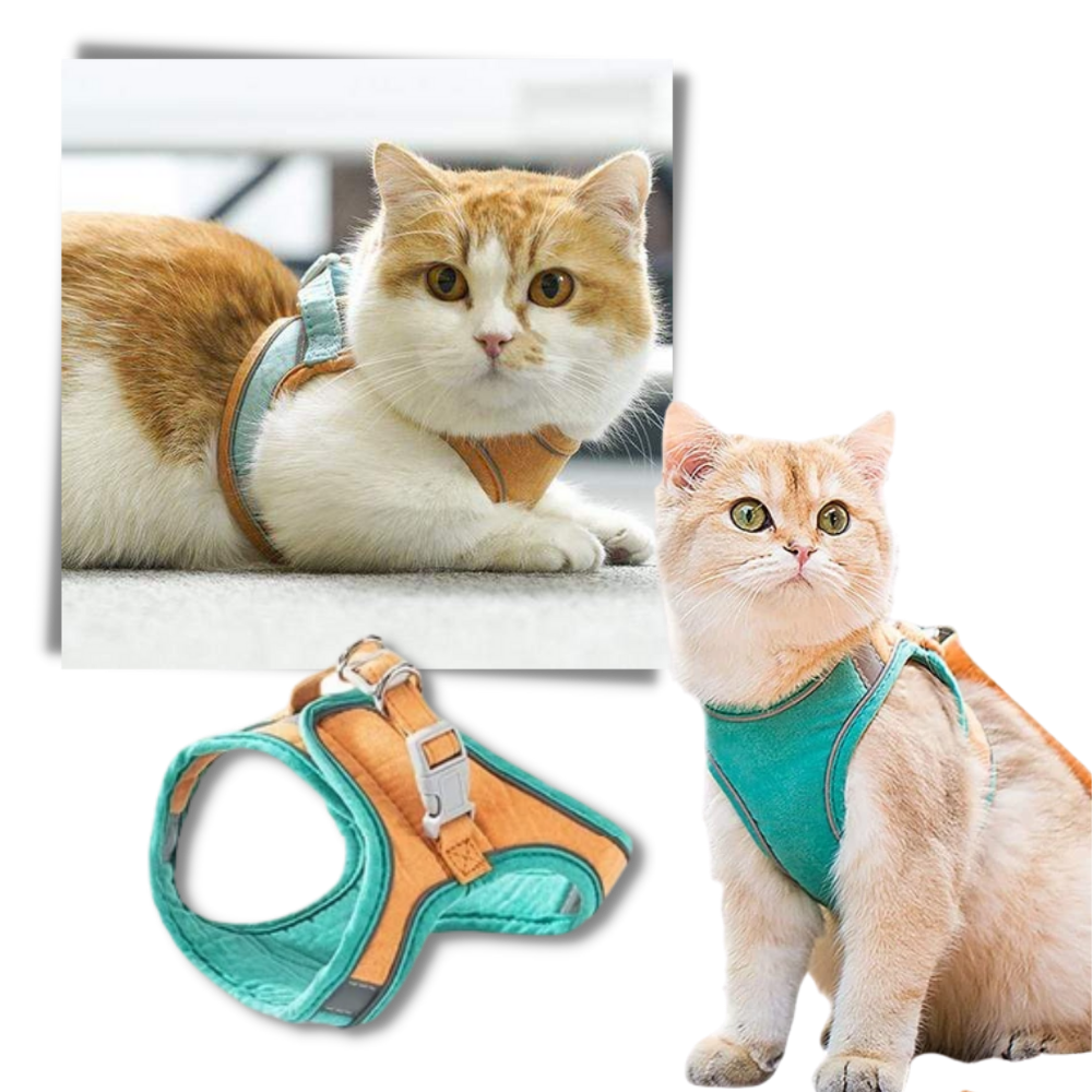 Pet Harness and Leash Set - Ozerty