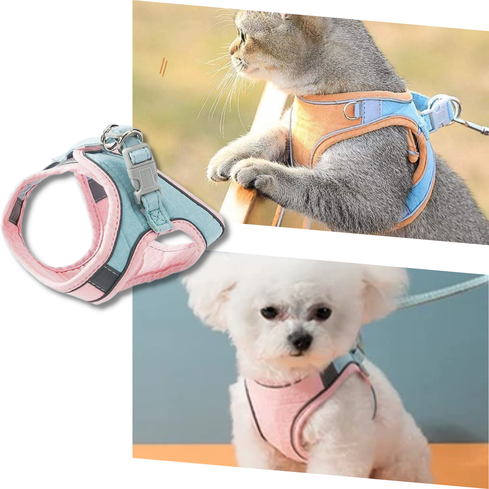 Pet Harness and Leash Set - Ozerty