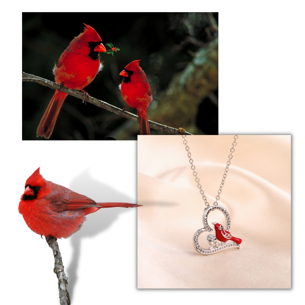 Cardinal Heart Pendant Necklace - Ozerty