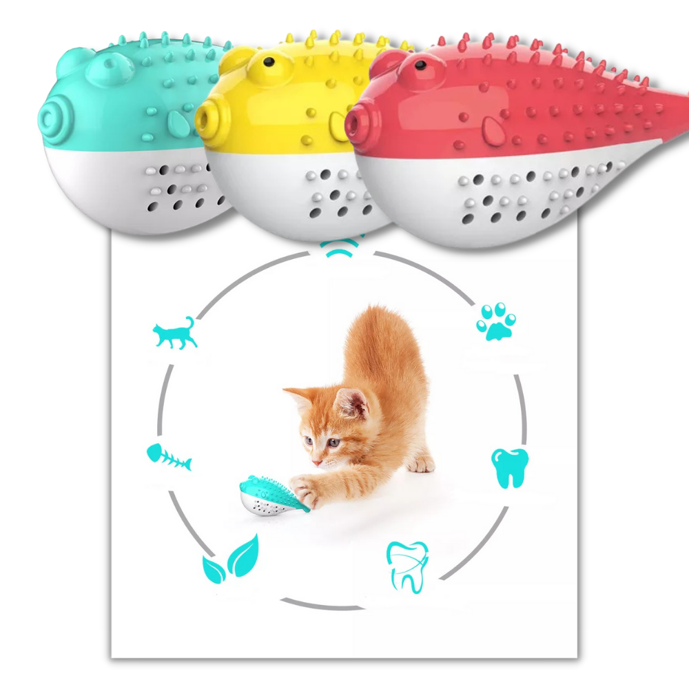 Fish shaped refillable cat toothbrush - Ozerty