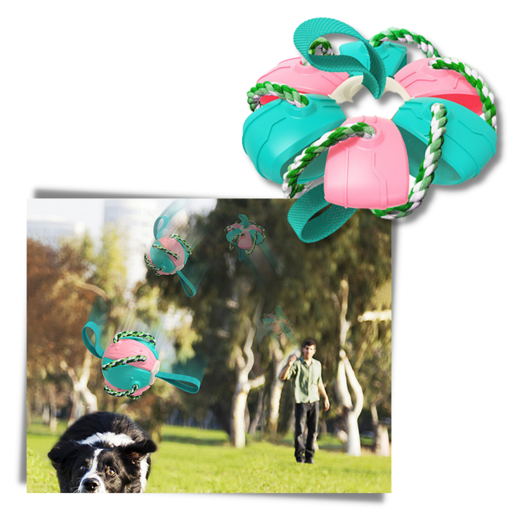 Frisbee Ball Dog Toy - Ozerty