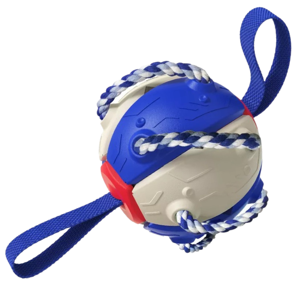 Frisbee Ball Dog Toy -Blue Beige - Ozerty