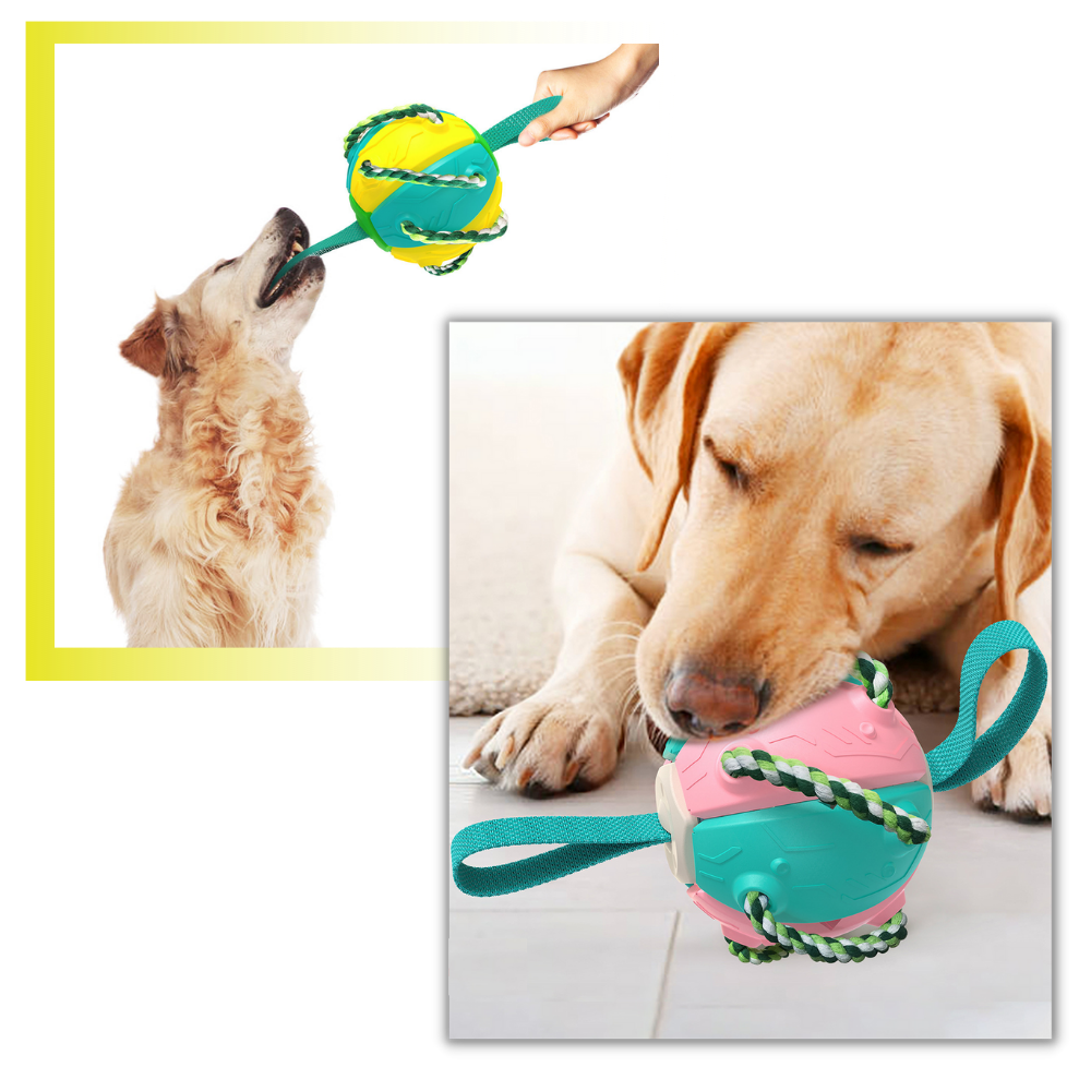 Frisbee Ball Dog Toy - Ozerty