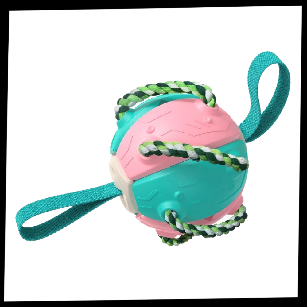 Frisbee Ball Dog Toy - Ozerty