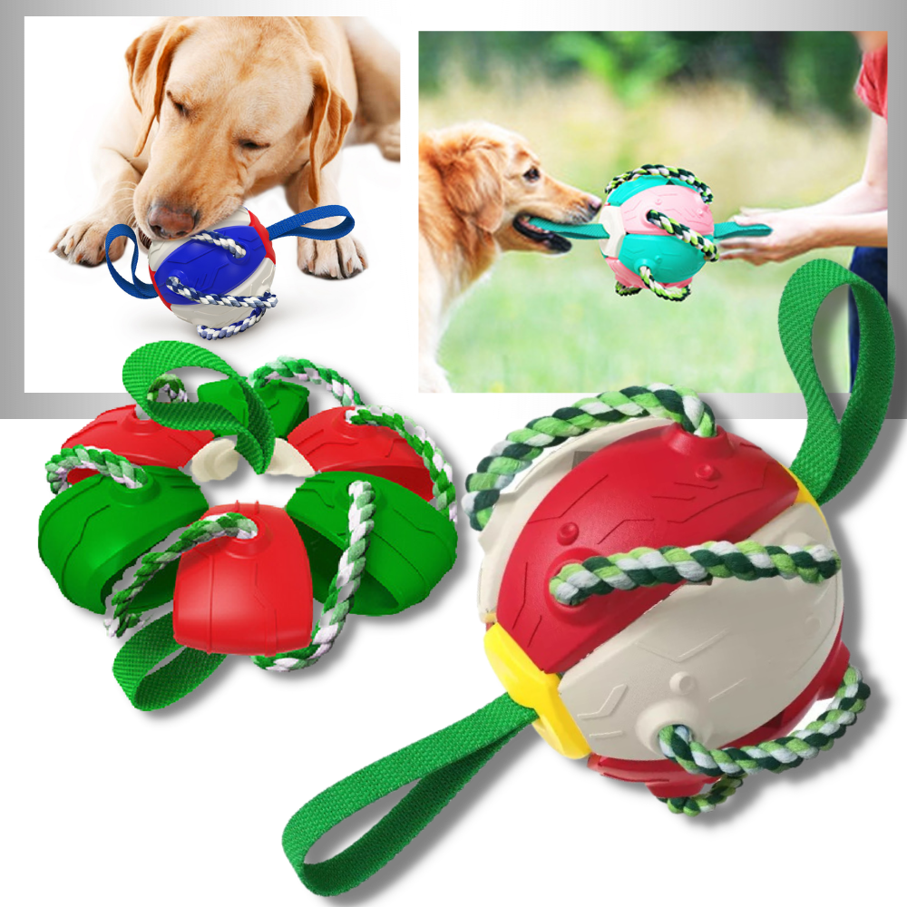 Frisbee Ball Dog Toy - Ozerty