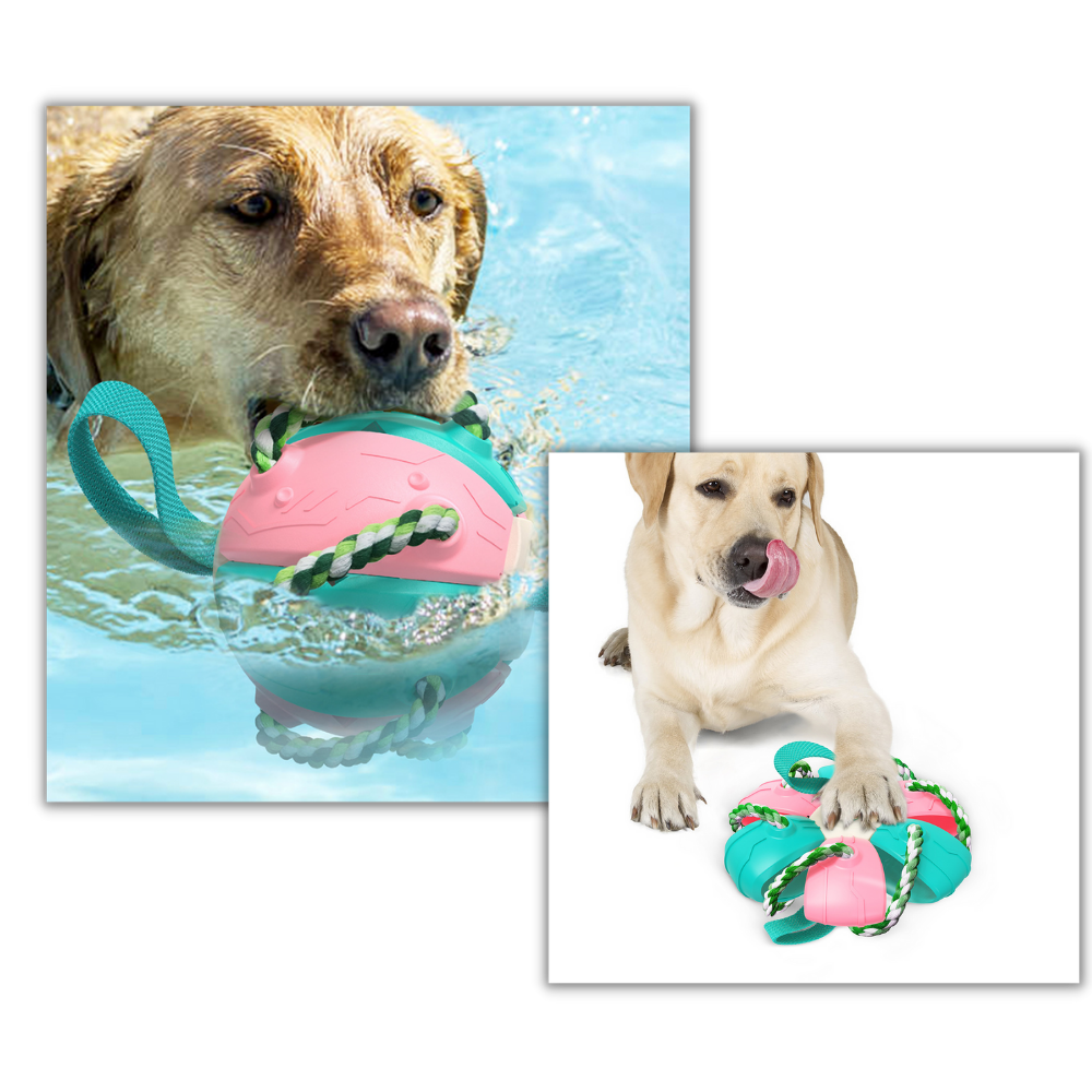 Frisbee Ball Dog Toy - Ozerty