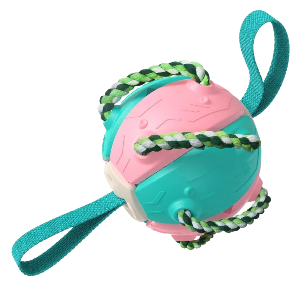 Frisbee Ball Dog Toy -Pink Blue - Ozerty